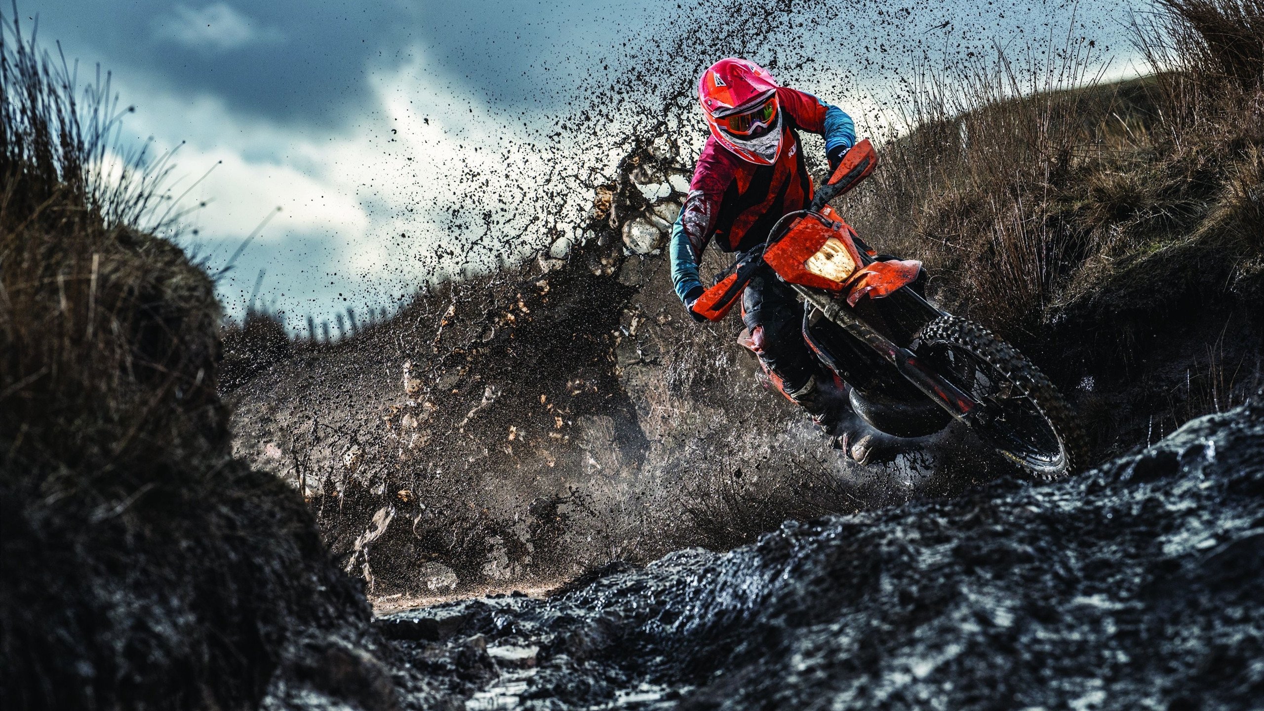 字母哥新星挺进下一轮表现惊艳，德国队未来可期！